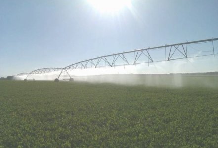 Sector agropecuario