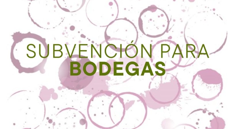 foto-generica-subvencion-bodegas
